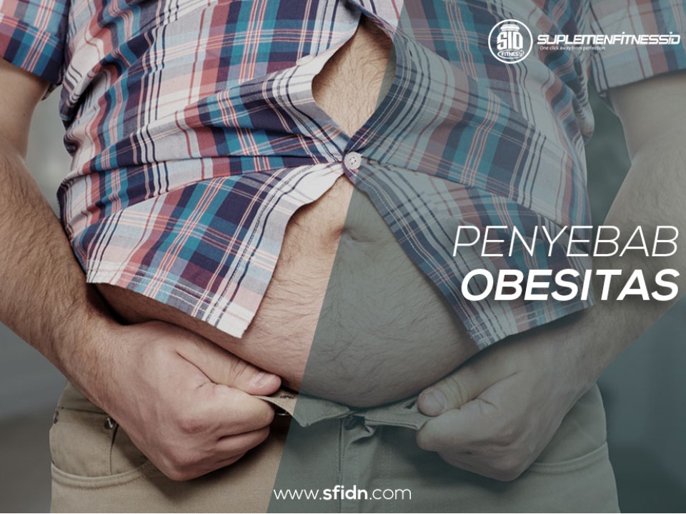 Penyebab Dan Cara Mencegah Obesitas Dengan Mengkonsumsi Makanan Sehat
